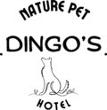 dingospethotel.com.br